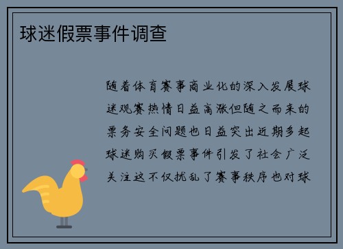 球迷假票事件调查